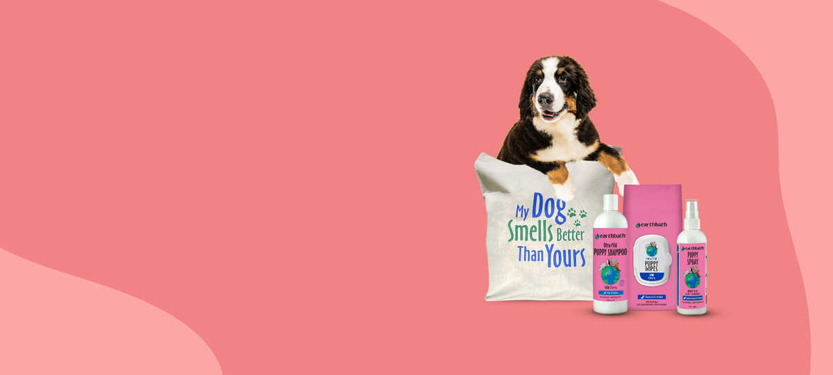 Dog with pet care products on a pink background
