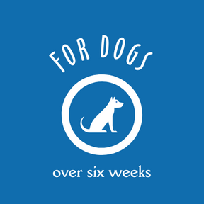 Description referencing the age of the dogs that can use the set