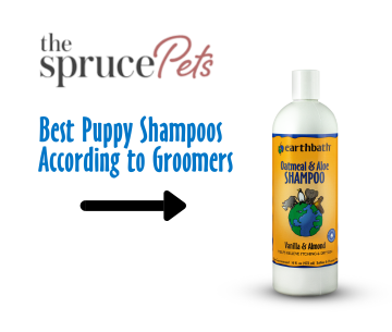 Earthbath dog shampoo bottle with text about best puppy shampoos according to groomers on a white background.