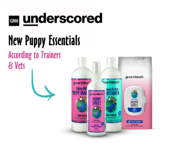 Puppy set with CNN lol on white background