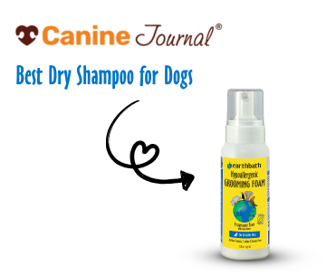 earthbath Dog Grooming Foam on white background with Canine Journal logo