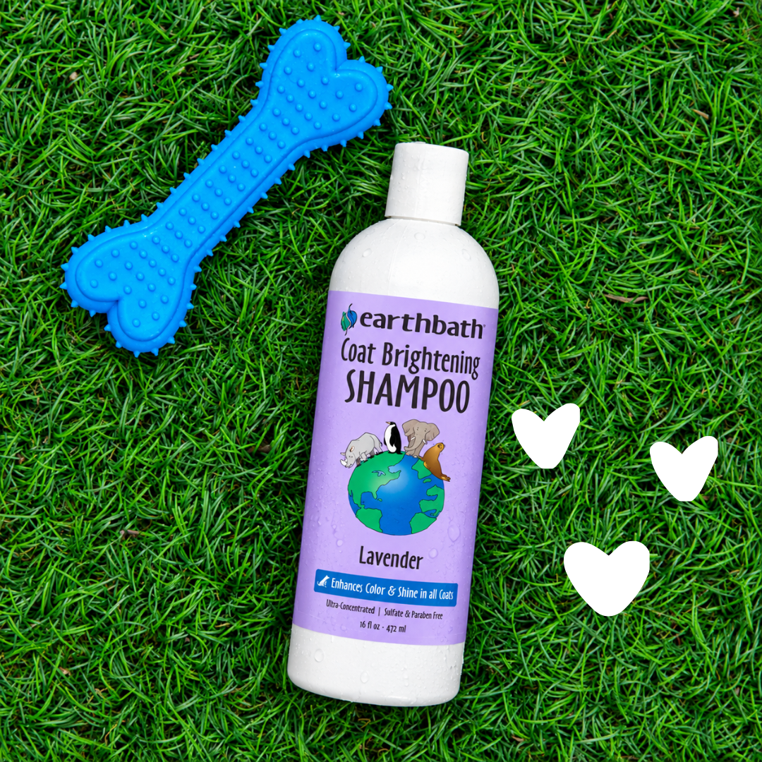 earthbath coat brightening shampoo bottle laying down in green grass with blue chew bone
