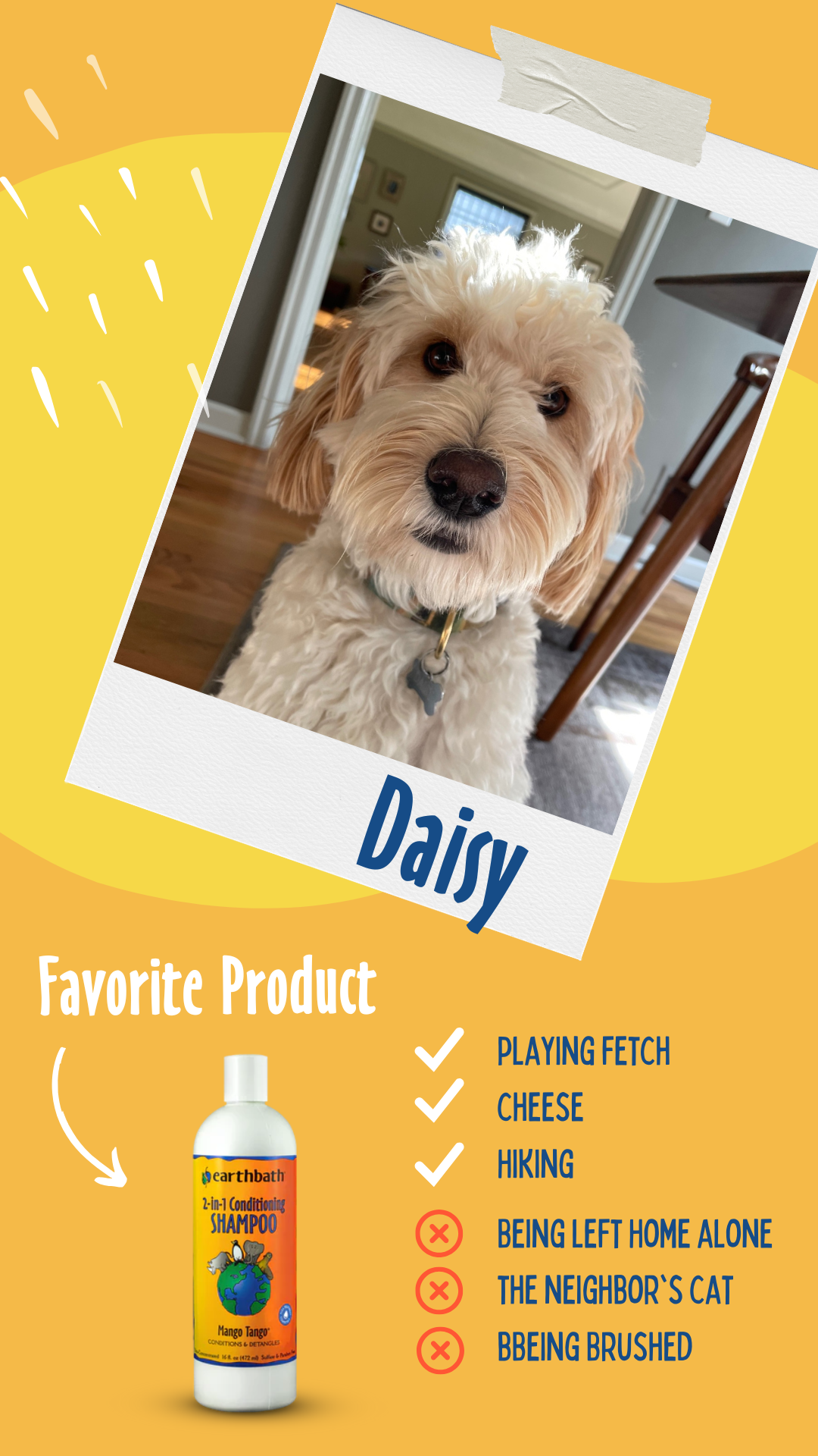 daisy the dog loves mango tango shampoo on orange background