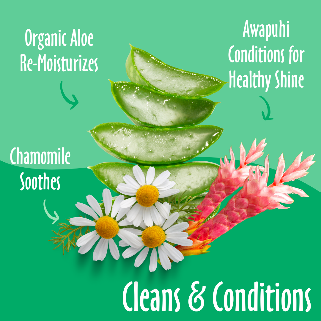 Cleans & Conditions elements like organic aloe, awapuhi, chamomile and their benefits.