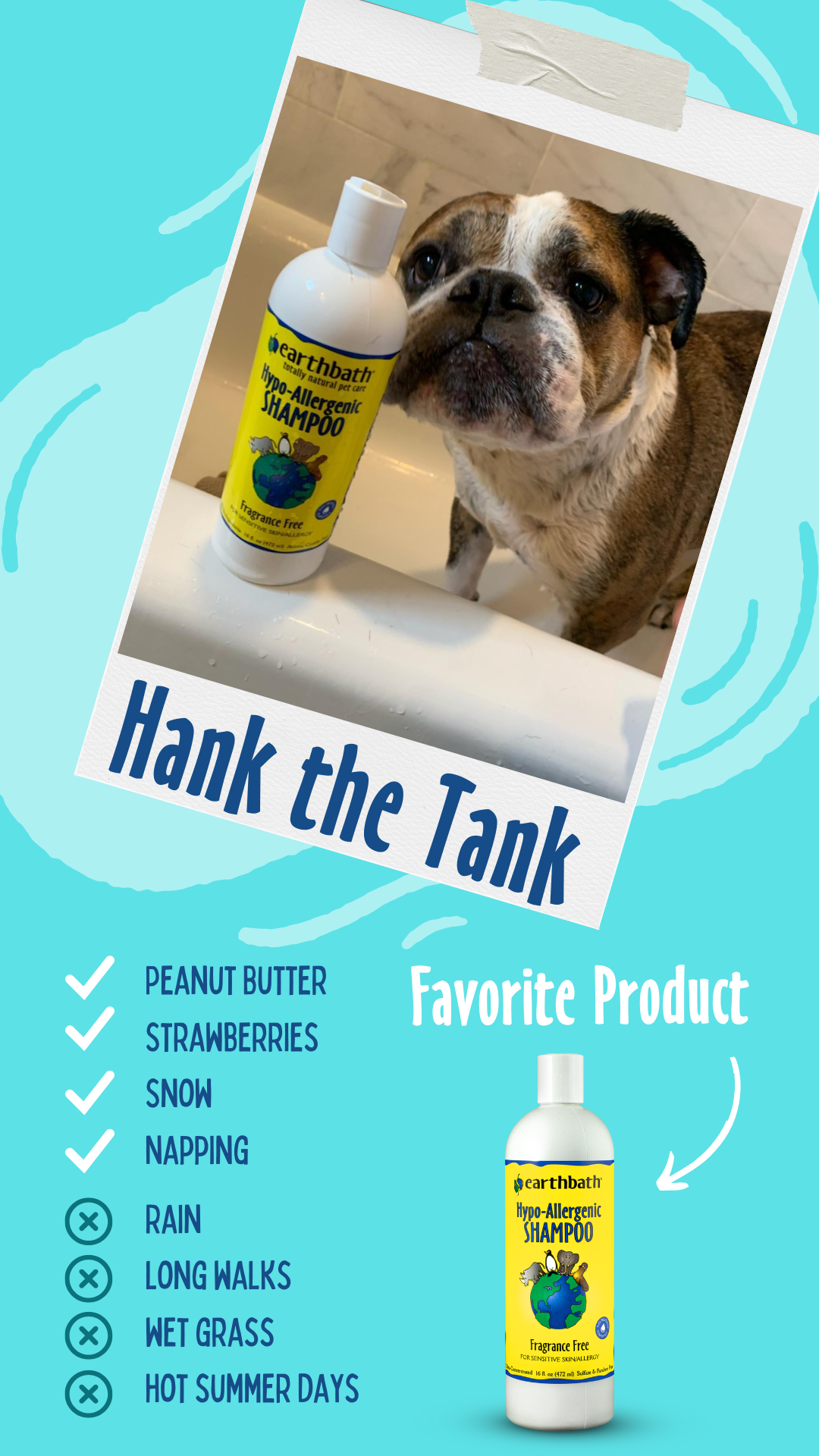 Hank the dog loves the hypoallergenic shampoo on teal background