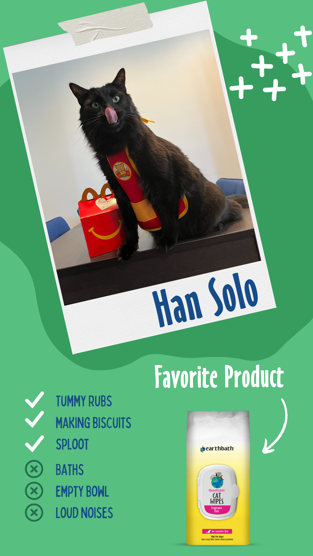 Hans Solo the cat loves the cat wipes on green backround