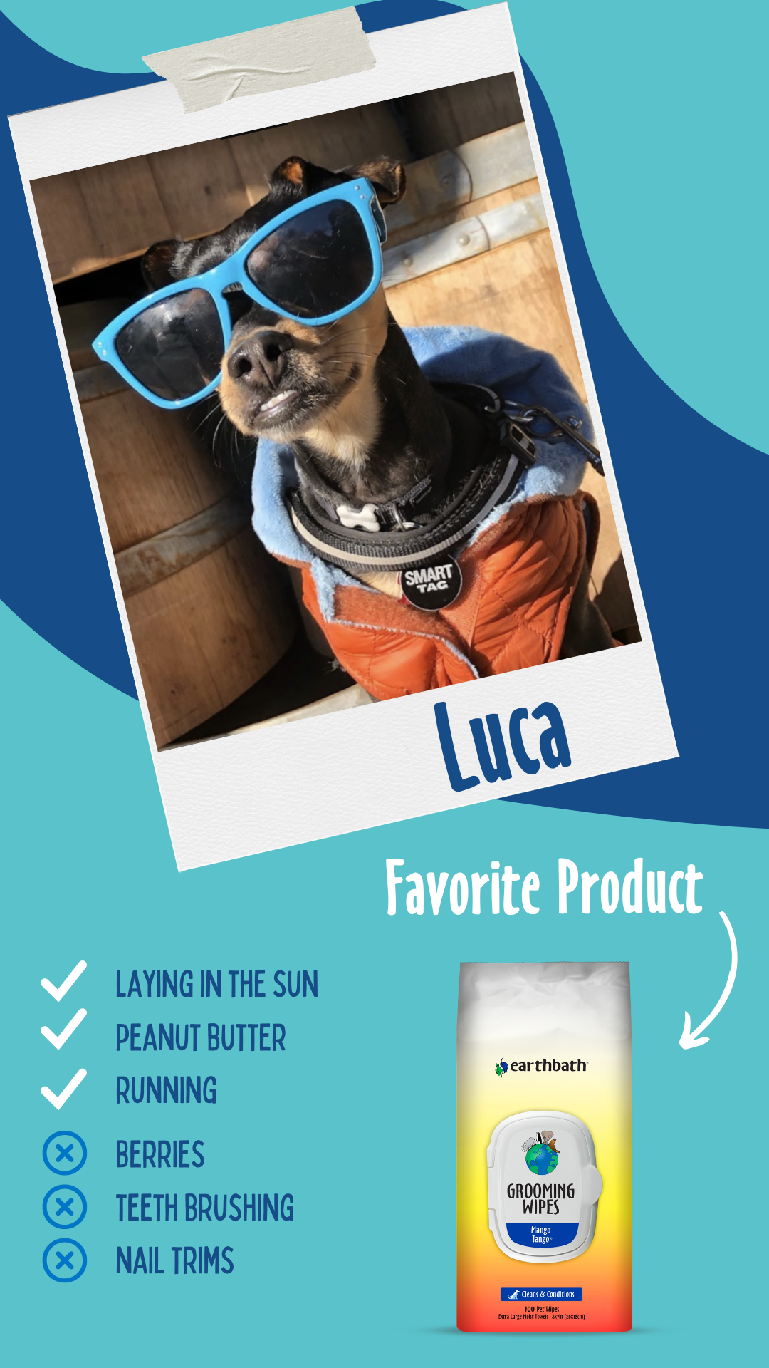 luca the dog loves mango tango wipes on blue background