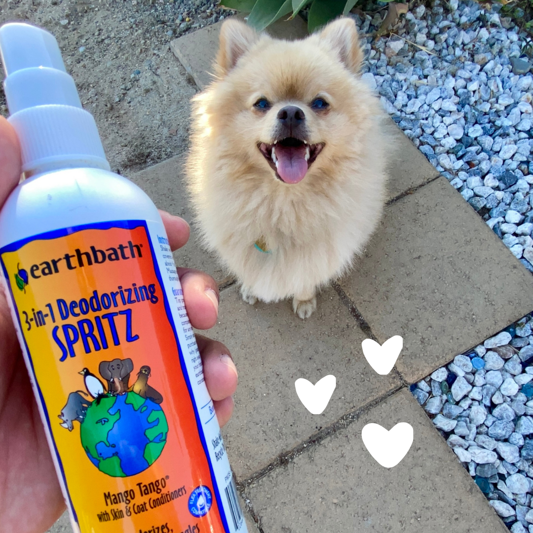 Dog with hearts using 3-in-1 Deodorizing Spray - Mango Tango®