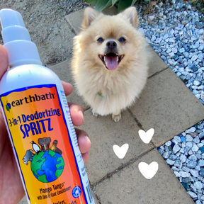 Dog with hearts using 3-in-1 Deodorizing Spray - Mango Tango®