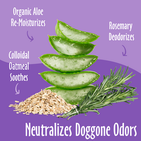 Neutralizes Doggone Odors elements like Rosemary, Organic Aloe, Oatmeal and their benefits. 