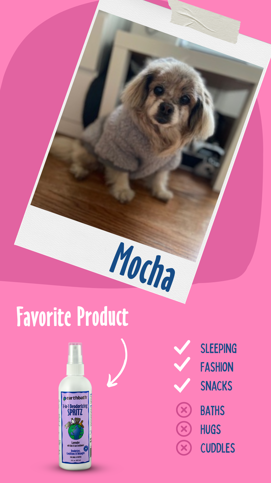 Mocha the dog loves lavender spray on pink background