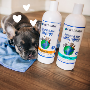Dog with Oatmeal & Aloe Itch Relief Conditioner - Fragrance Free and hearts