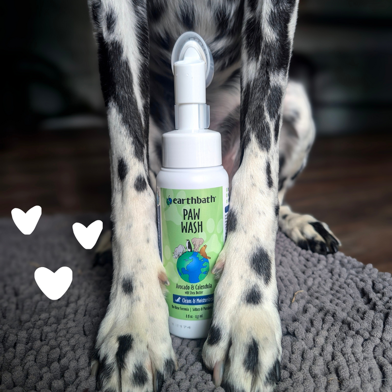 The product Paw Wash with a dog 