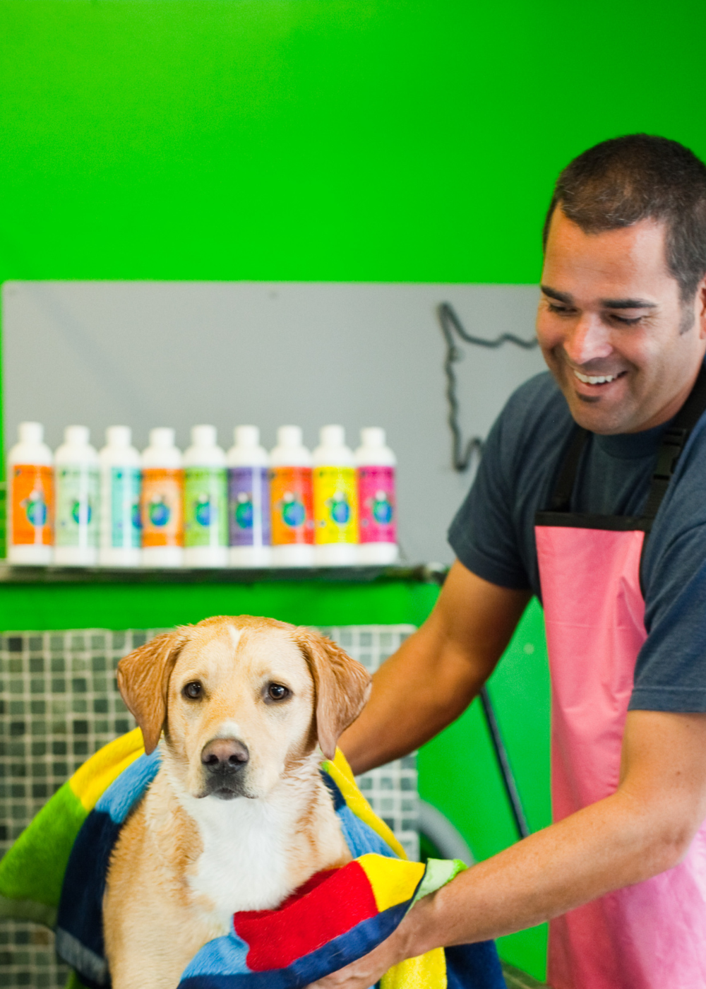 dog getting toweled off in pet wash