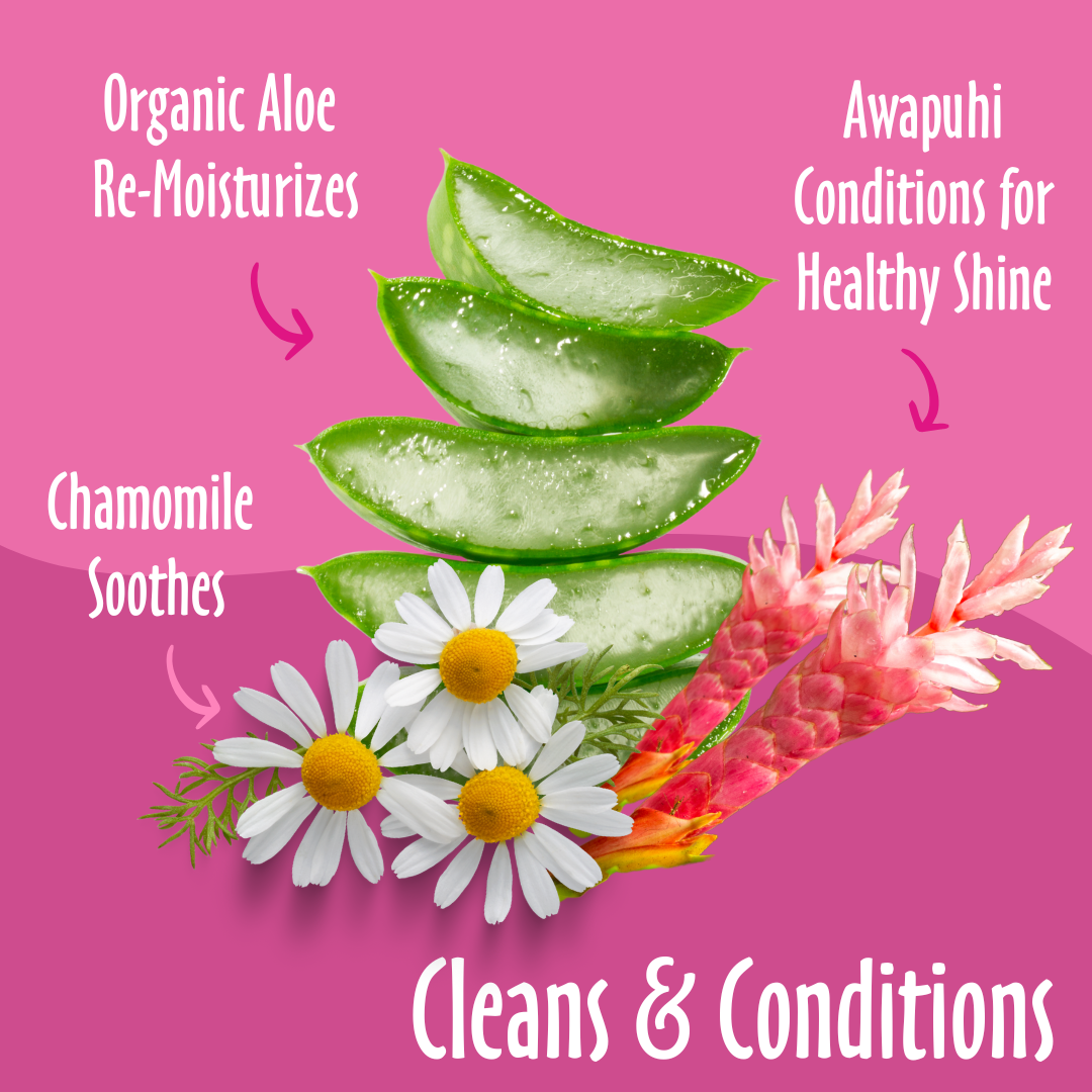 For Cleans & Conditions, elements like organic aloe, awapuhi , chamomile, along with their benefits.