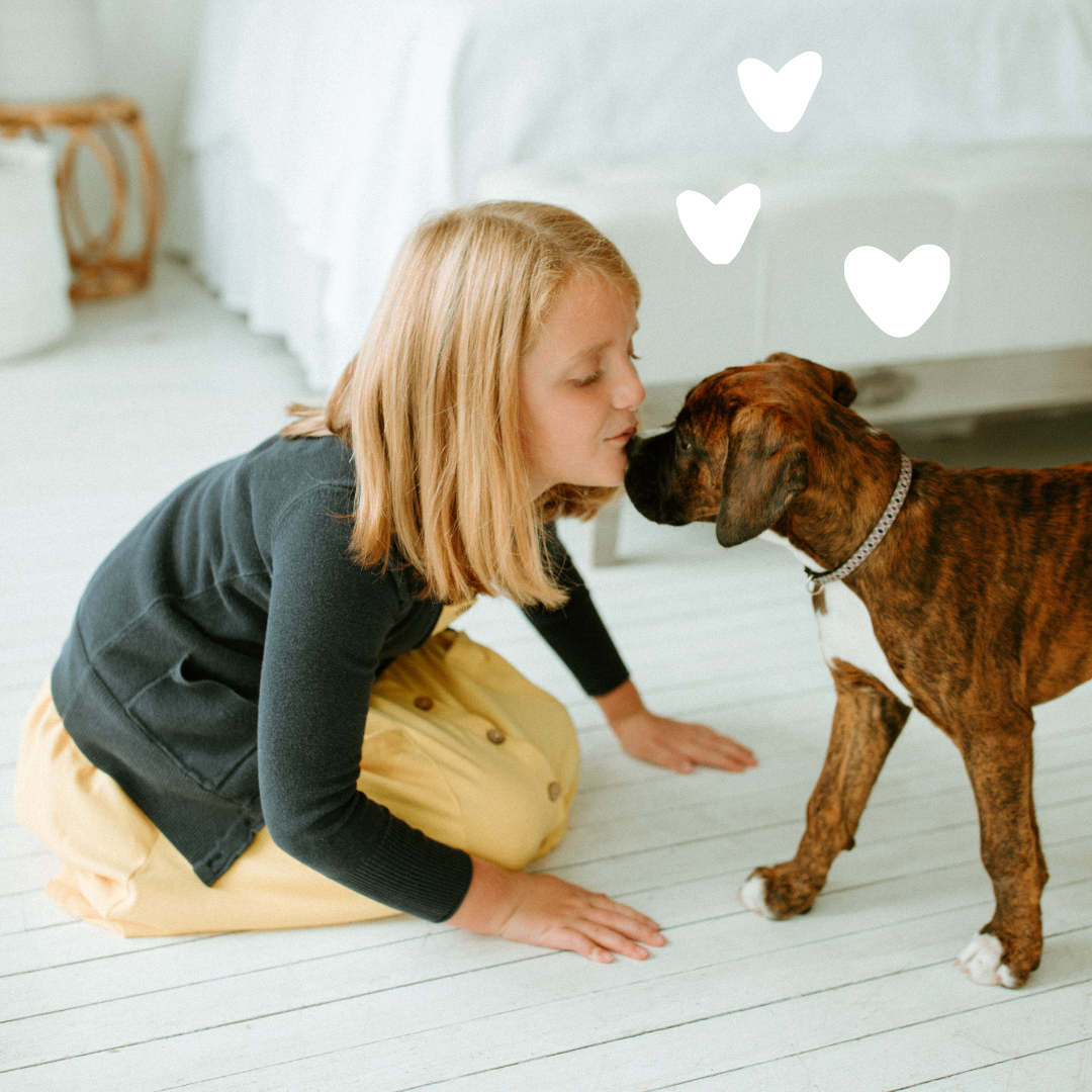Young girl playing with a dog on a white floor with heart shapes above them