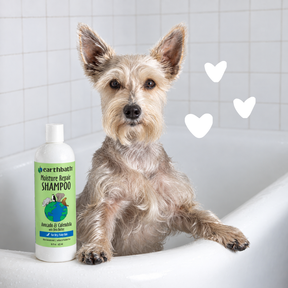 A small scruffy dog sits in a white bathtub next to a bottle of Earthbound Moisture Repair Shampoo, with white heart graphics floating nearby.