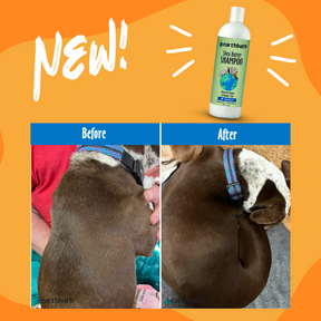 Before and after of a dog using Shea Butter Shampoo