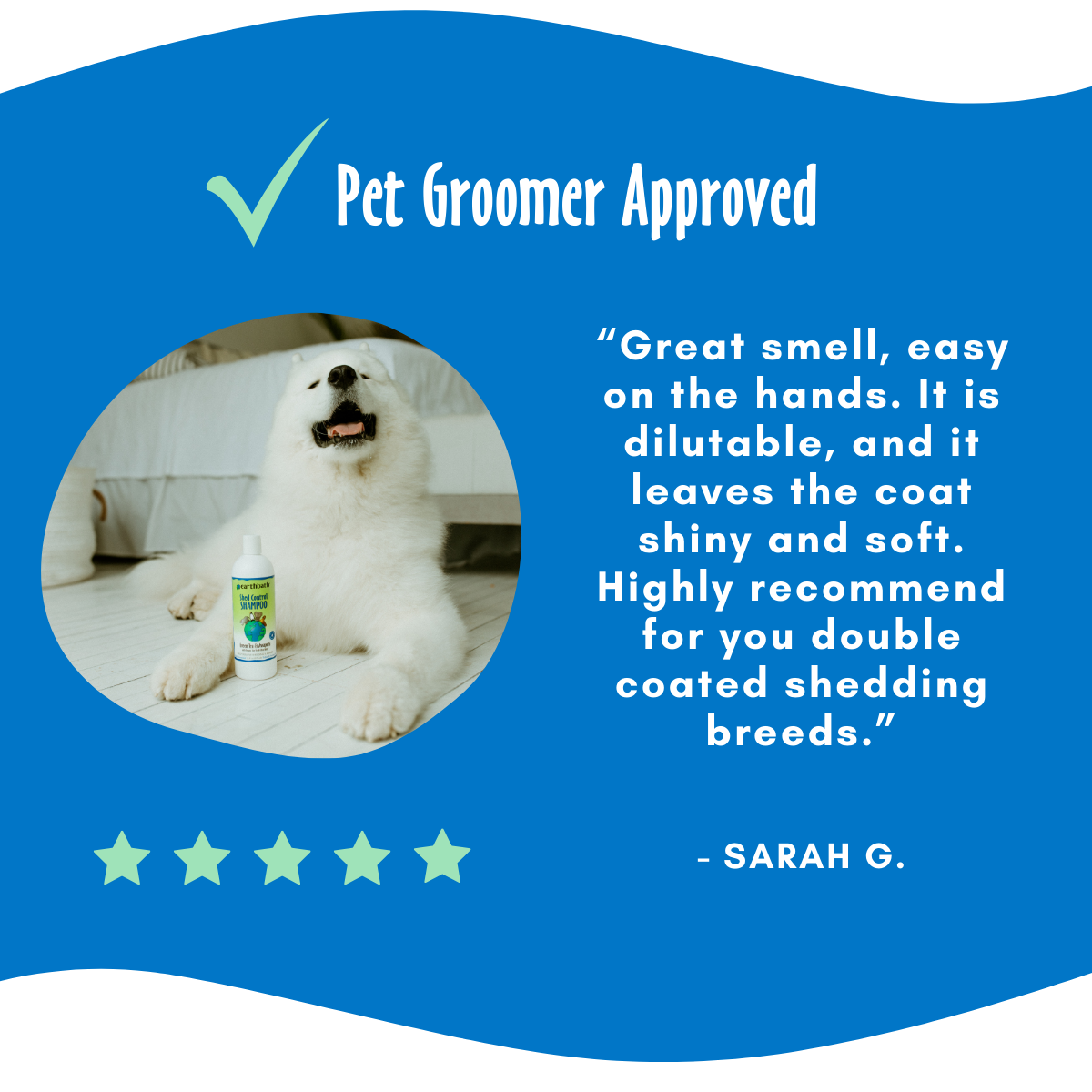 Happy dog along with a five stars testimonial 