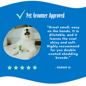 Happy dog along with a five stars testimonial 