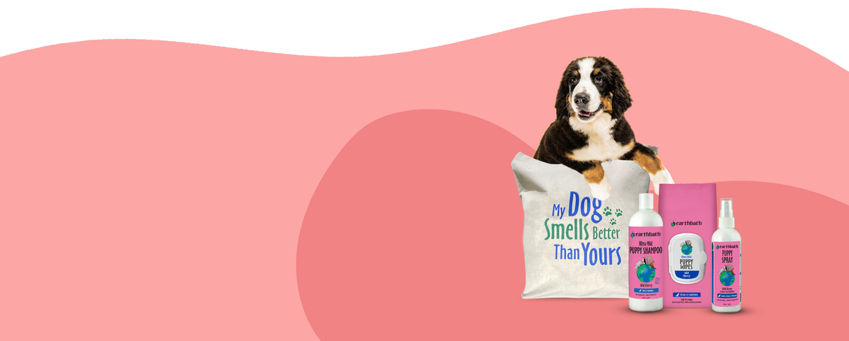 Dog with 'My Dog Smells Better Than Yours' products on a pink background